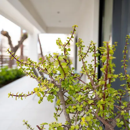 Callas Apartment